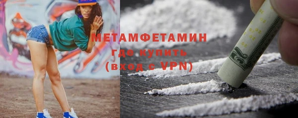 гидра Богородицк