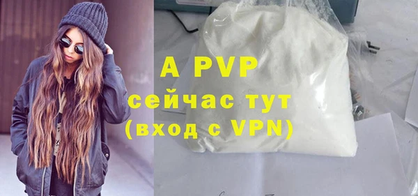 гидра Богородицк