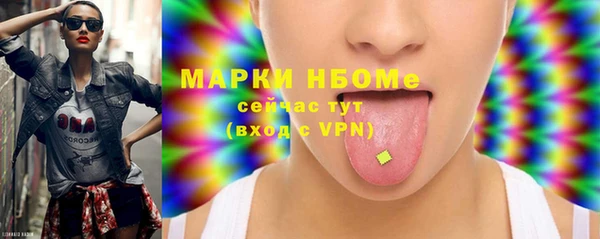 дмт Богородск