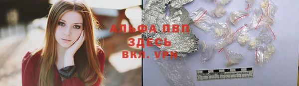 гидра Богородицк
