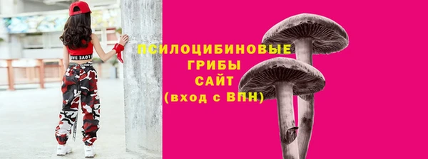 гидра Богородицк