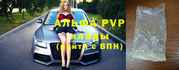 гидра Богородицк