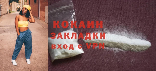 гидра Богородицк