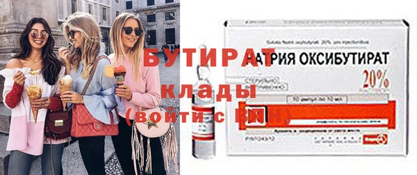 гидра Богородицк