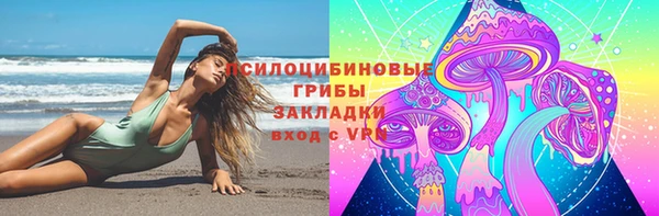 дмт Богородск