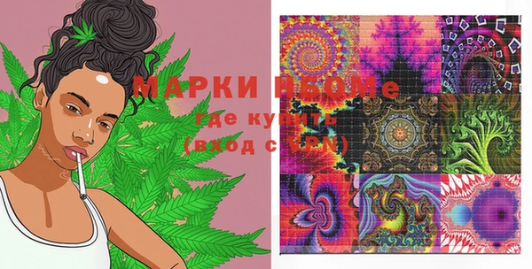гидра Богородицк