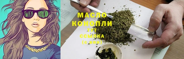 гидра Богородицк