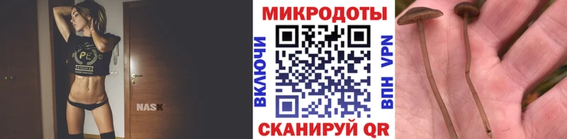 ссылка на мегу tor  где купить наркоту  Нестеров  Галлюциногенные грибы прущие грибы 